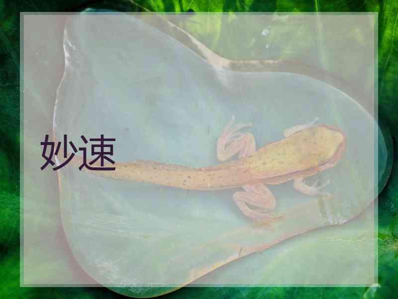 妙速