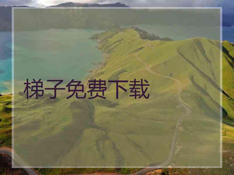 梯子免费下载