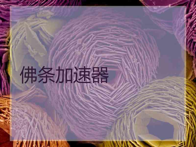 佛条加速器
