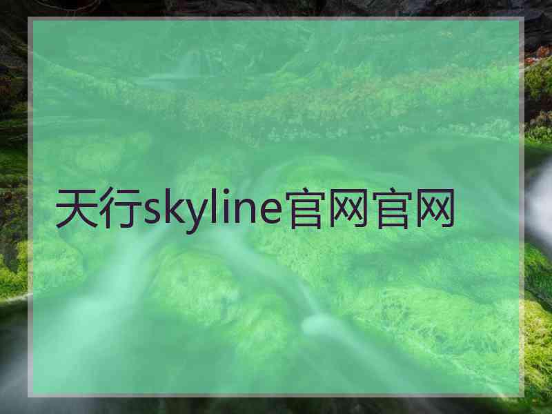 天行skyline官网官网