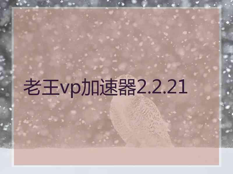 老王vp加速器2.2.21