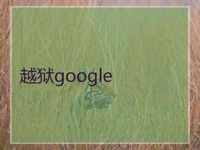 越狱google