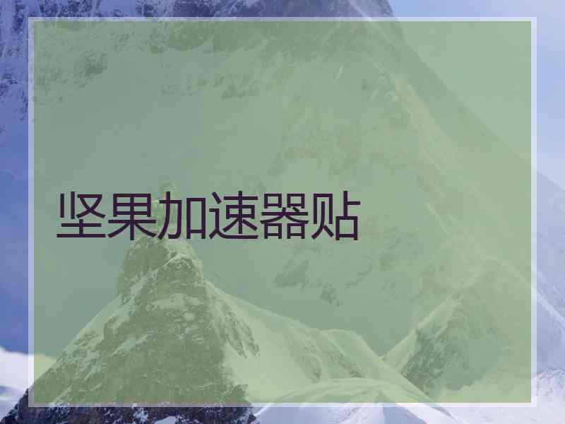 坚果加速器贴