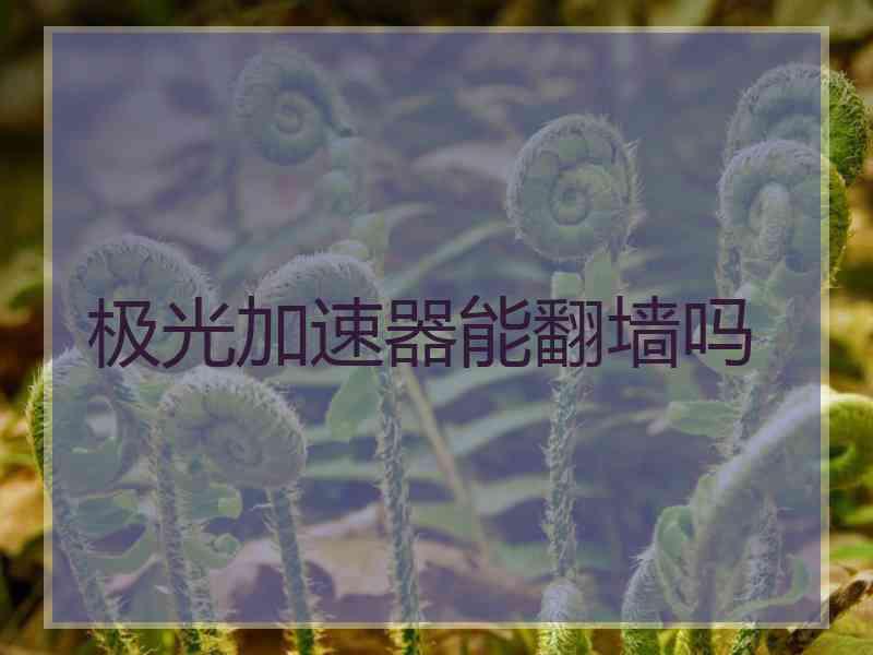 极光加速器能翻墙吗