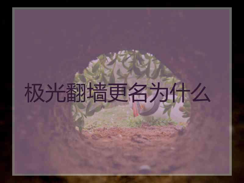 极光翻墙更名为什么