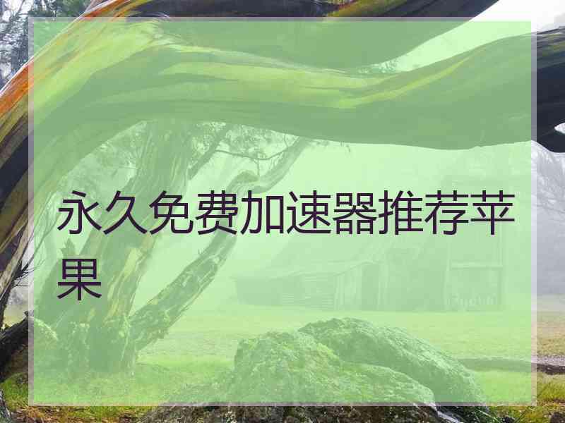 永久免费加速器推荐苹果