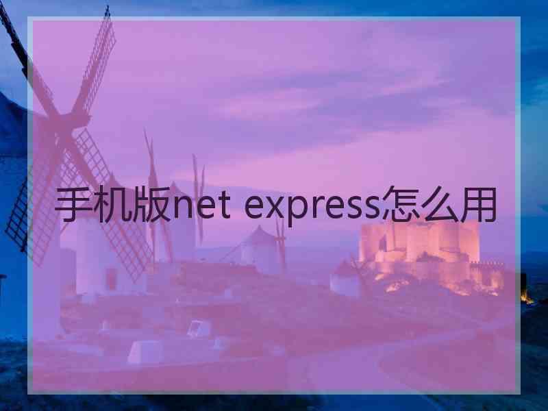 手机版net express怎么用
