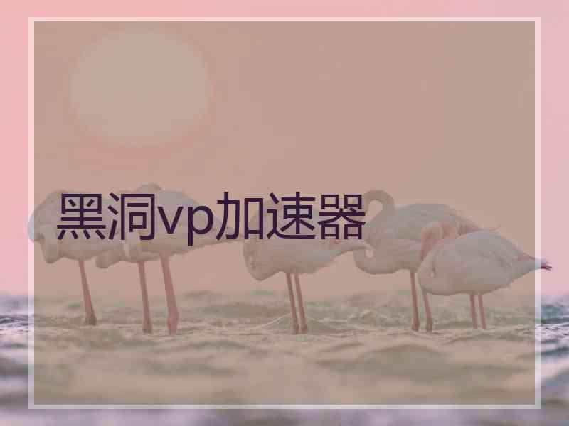 黑洞vp加速器