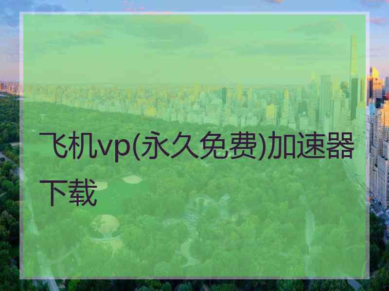 飞机vp(永久免费)加速器下载