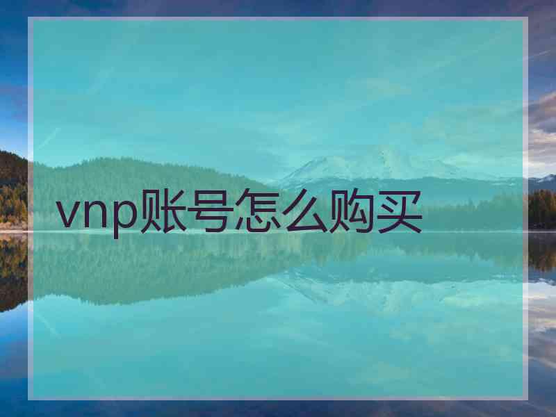vnp账号怎么购买