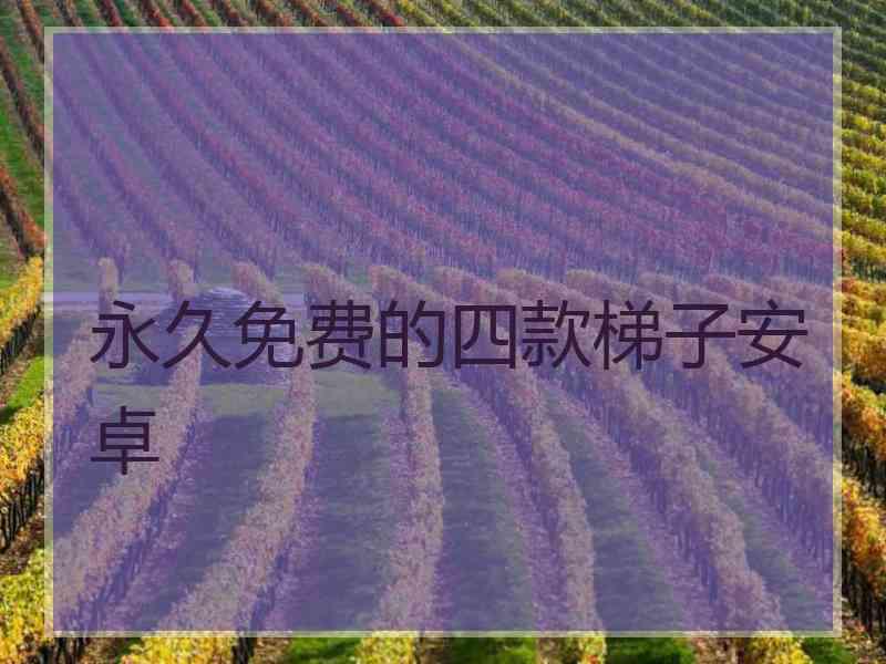 永久免费的四款梯子安卓