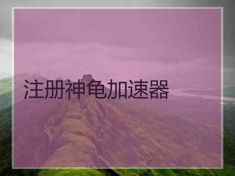 注册神龟加速器