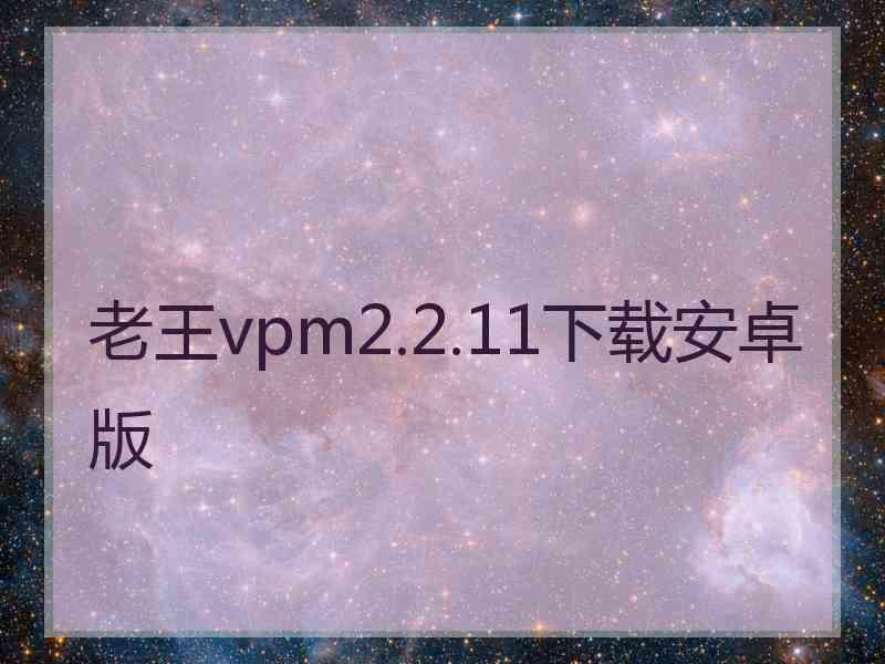 老王vpm2.2.11下载安卓版