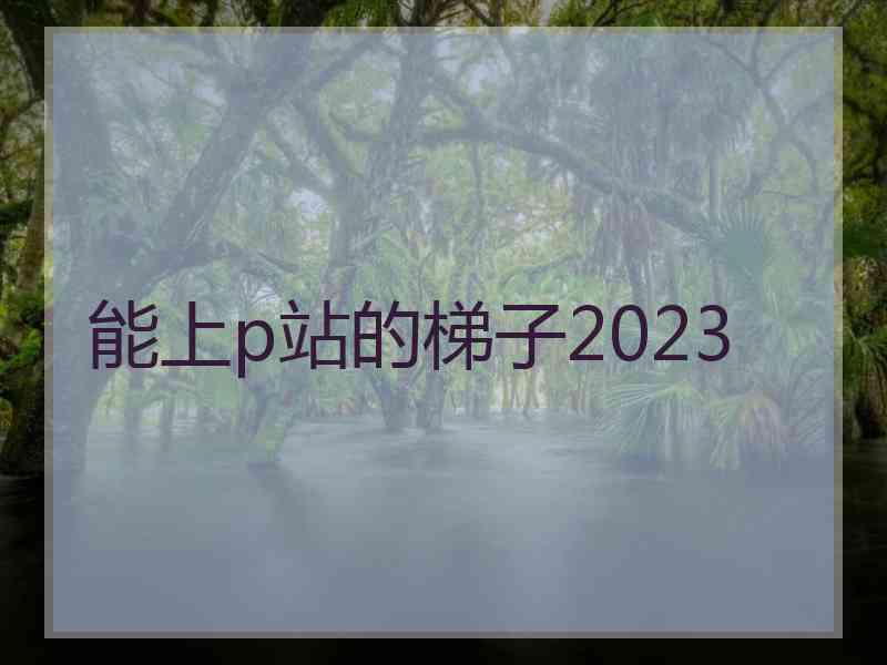 能上p站的梯子2023