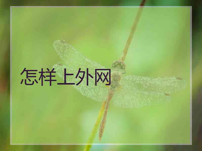 怎样上外网