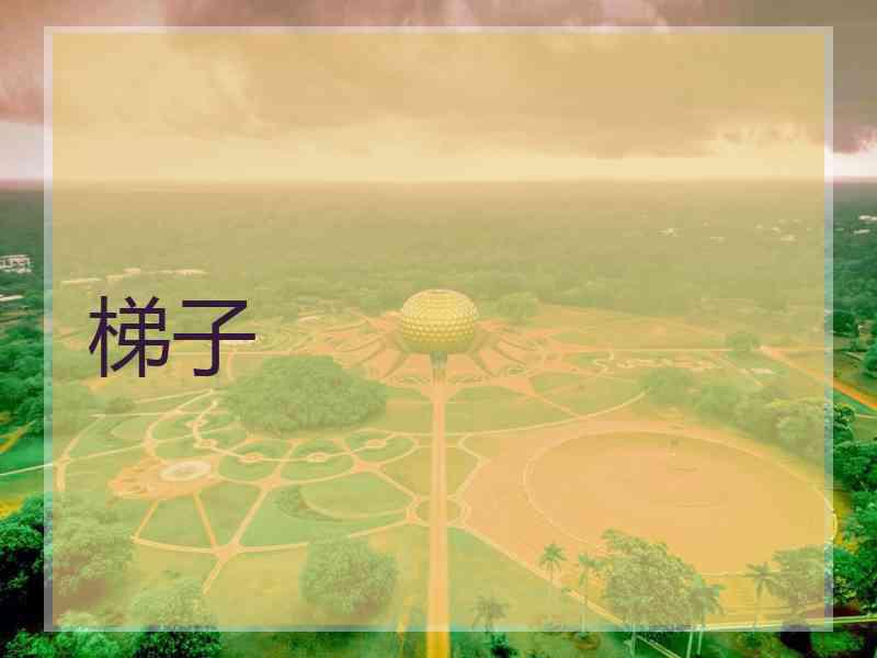 梯子