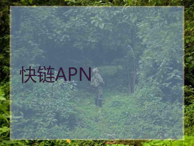 快链APN