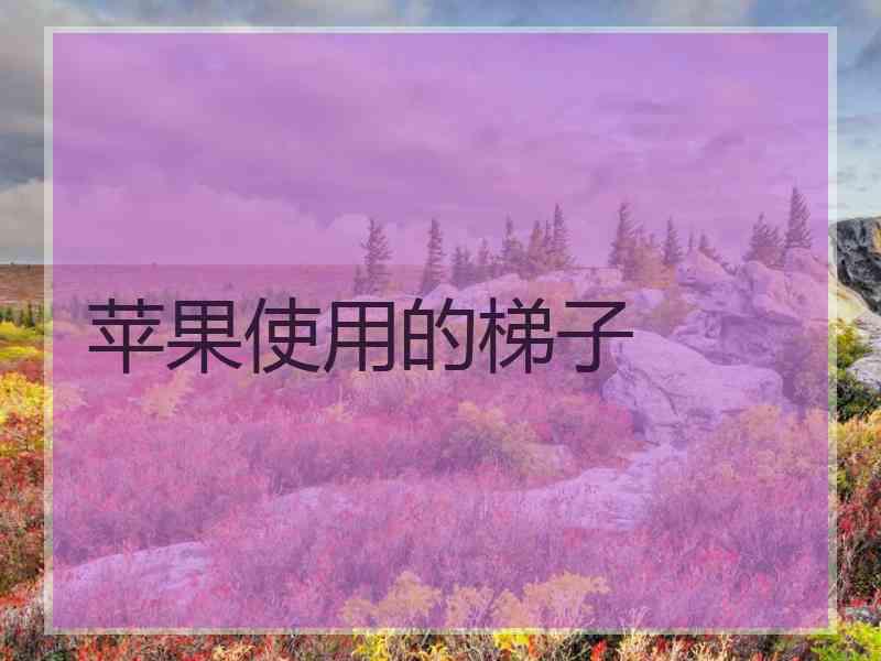 苹果使用的梯子
