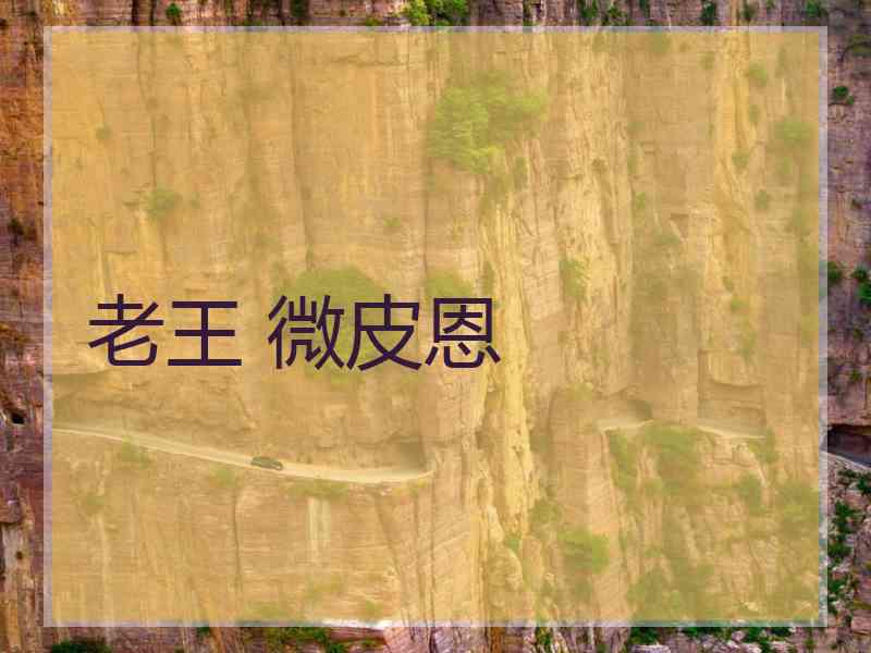 老王 微皮恩