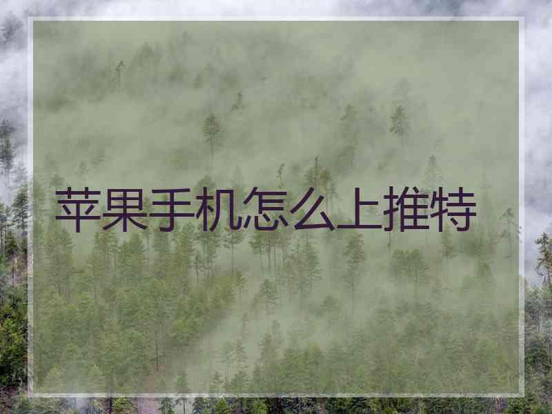 苹果手机怎么上推特