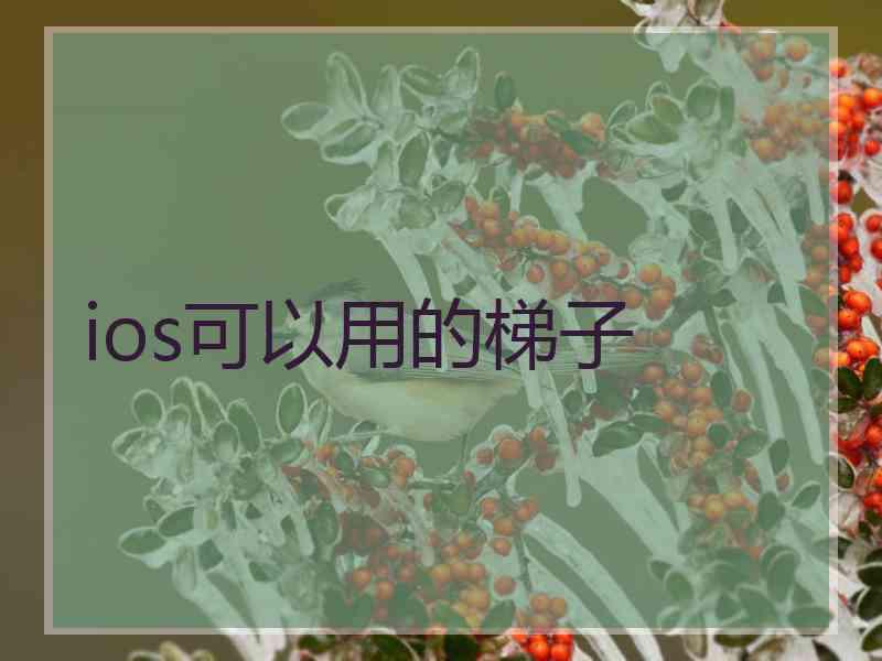 ios可以用的梯子