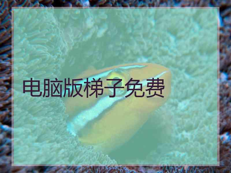电脑版梯子免费