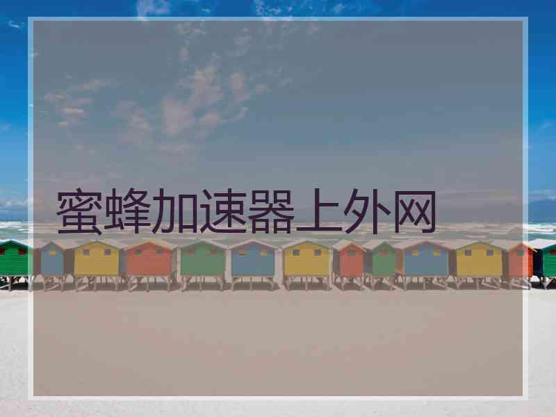 蜜蜂加速器上外网