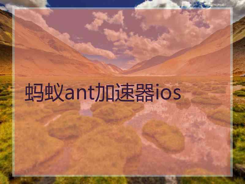 蚂蚁ant加速器ios