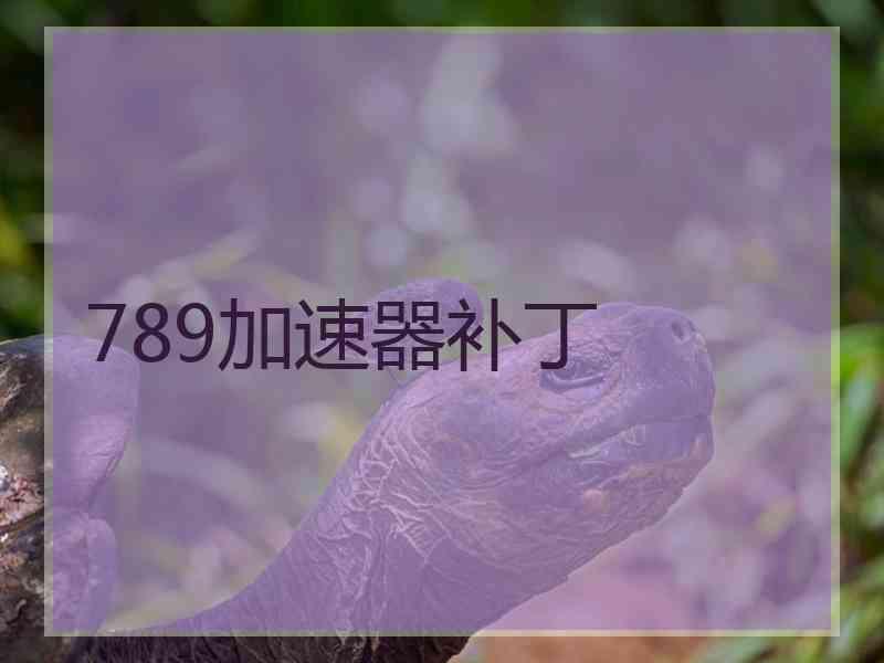 789加速器补丁