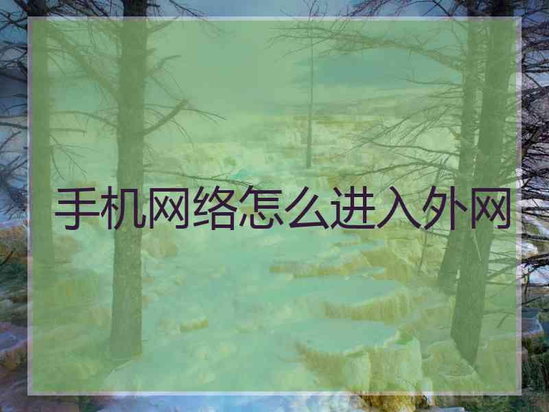 手机网络怎么进入外网