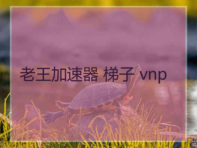 老王加速器 梯子 vnp