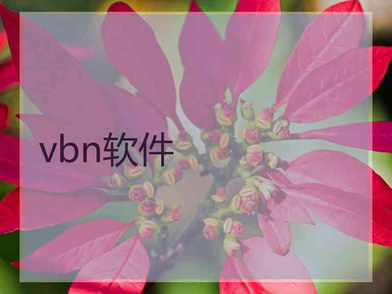 vbn软件