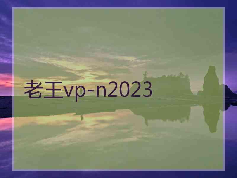 老王vp-n2023