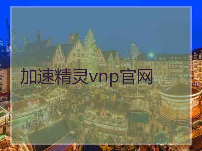 加速精灵vnp官网