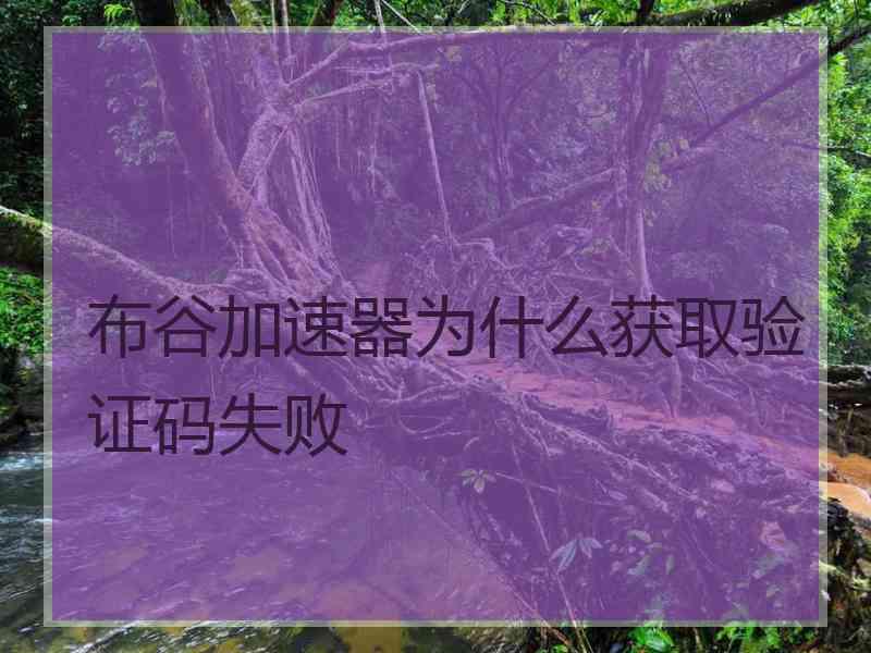 布谷加速器为什么获取验证码失败