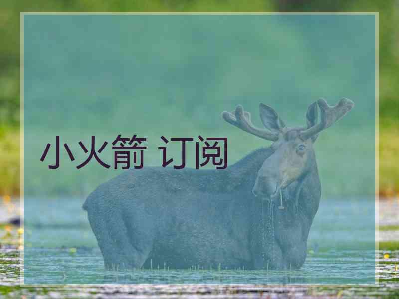 小火箭 订阅