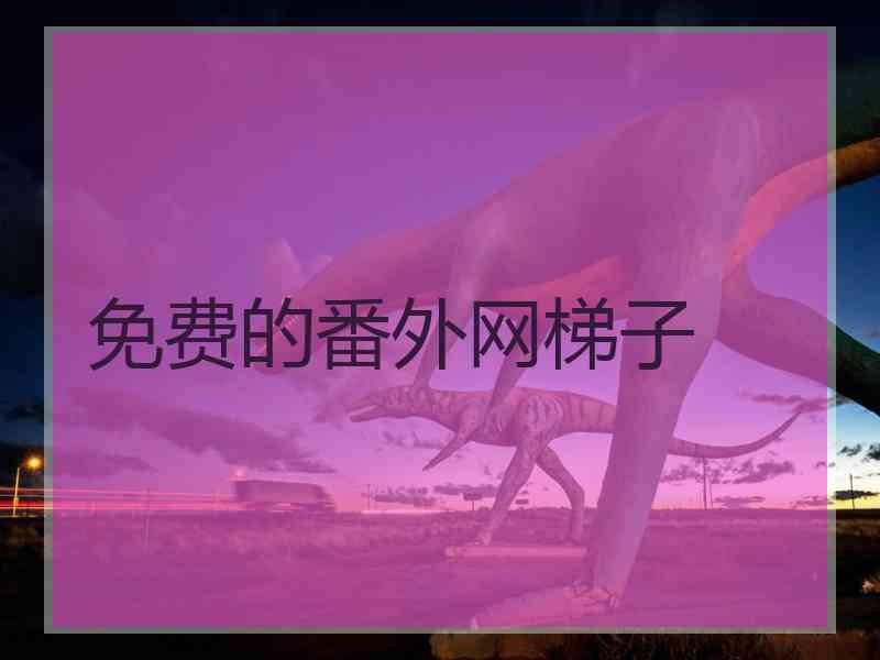 免费的番外网梯子