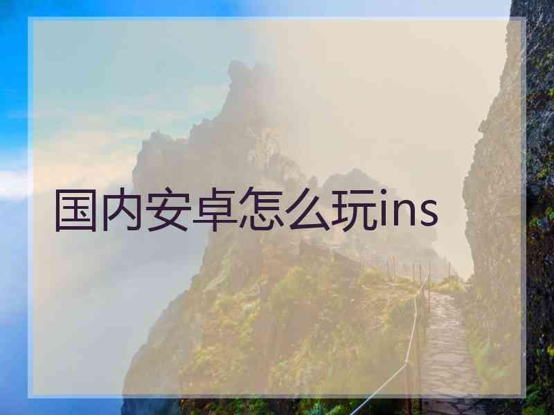 国内安卓怎么玩ins