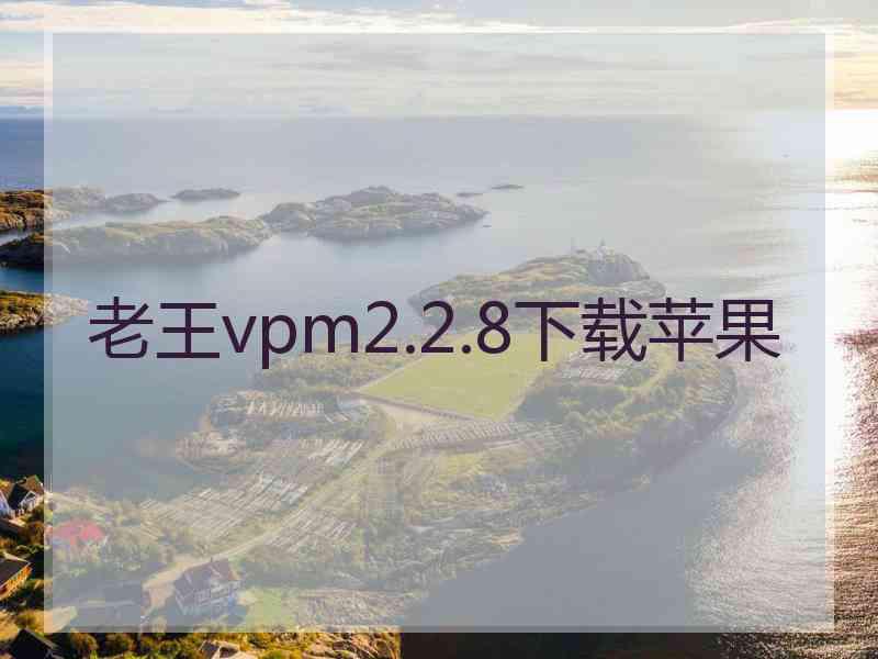 老王vpm2.2.8下载苹果