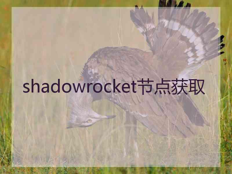 shadowrocket节点获取
