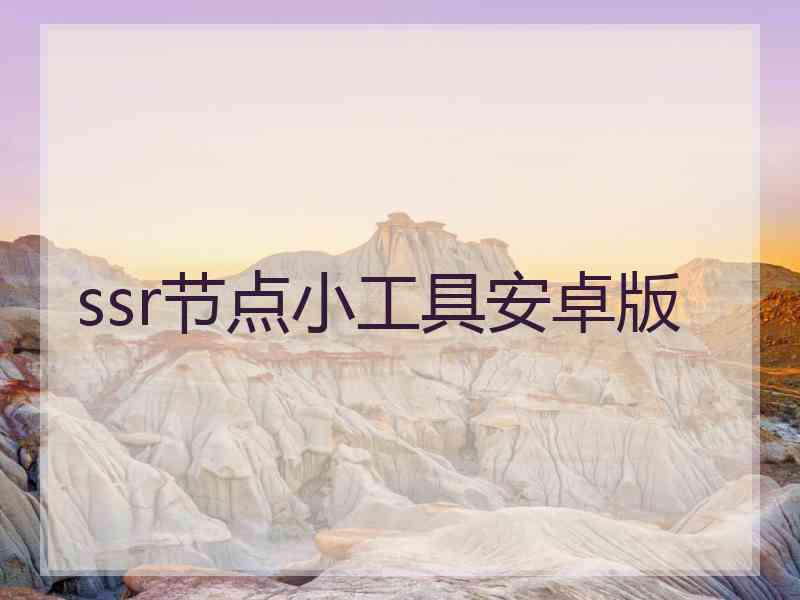 ssr节点小工具安卓版