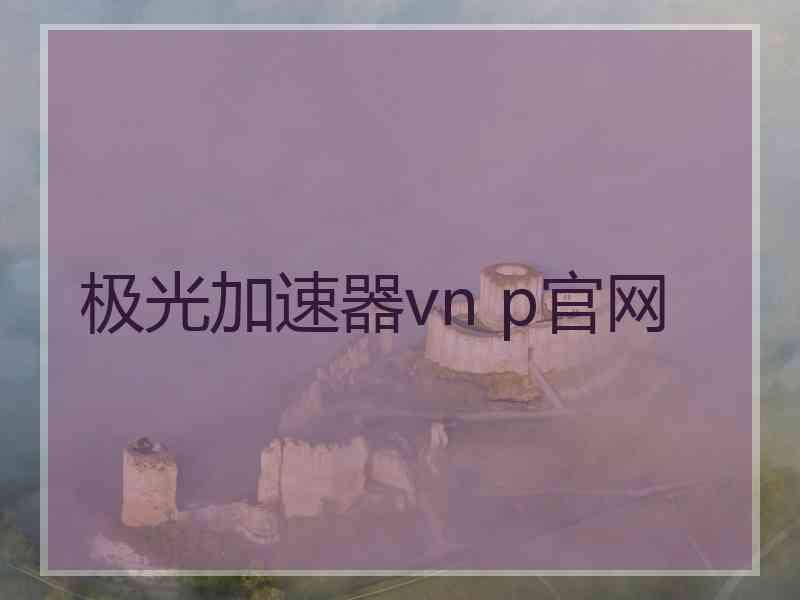 极光加速器vn p官网