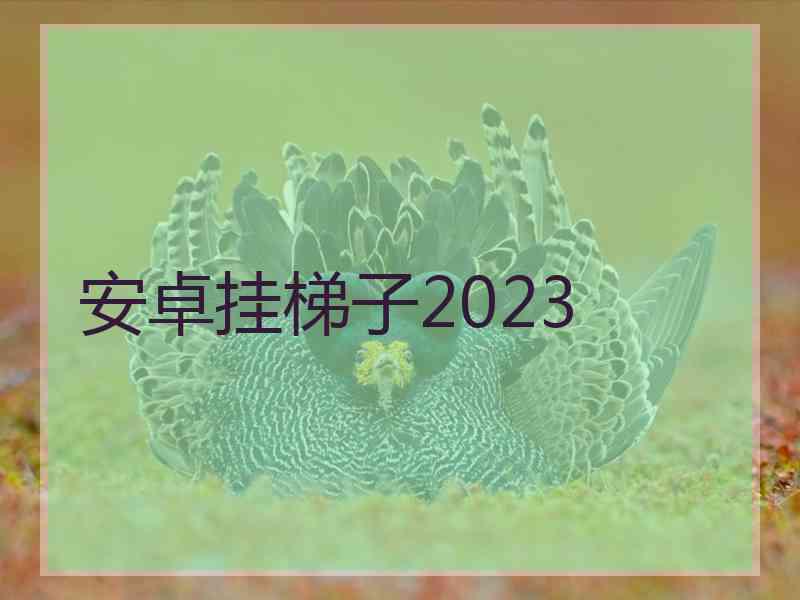 安卓挂梯子2023