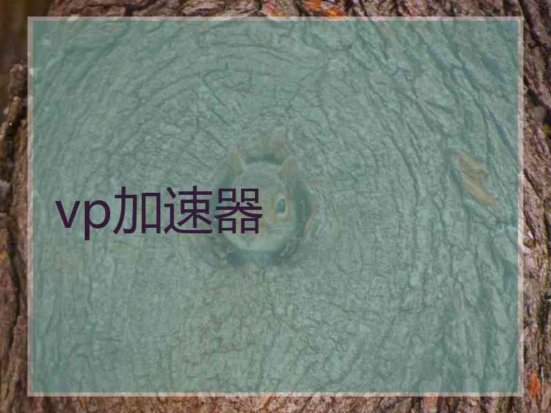 vp加速器