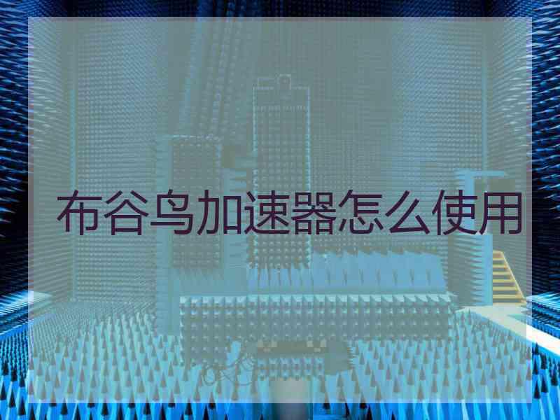 布谷鸟加速器怎么使用