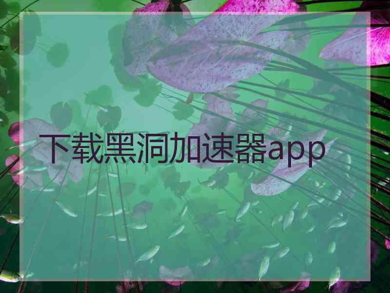 下载黑洞加速器app
