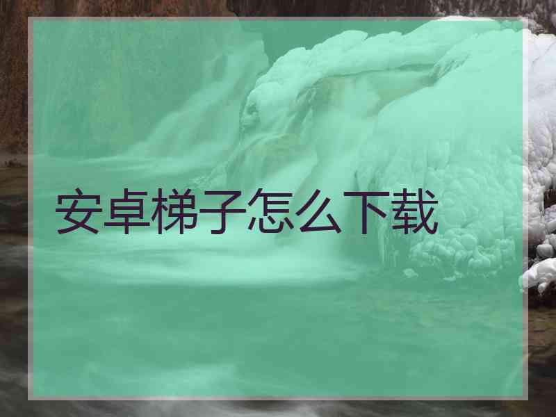 安卓梯子怎么下载