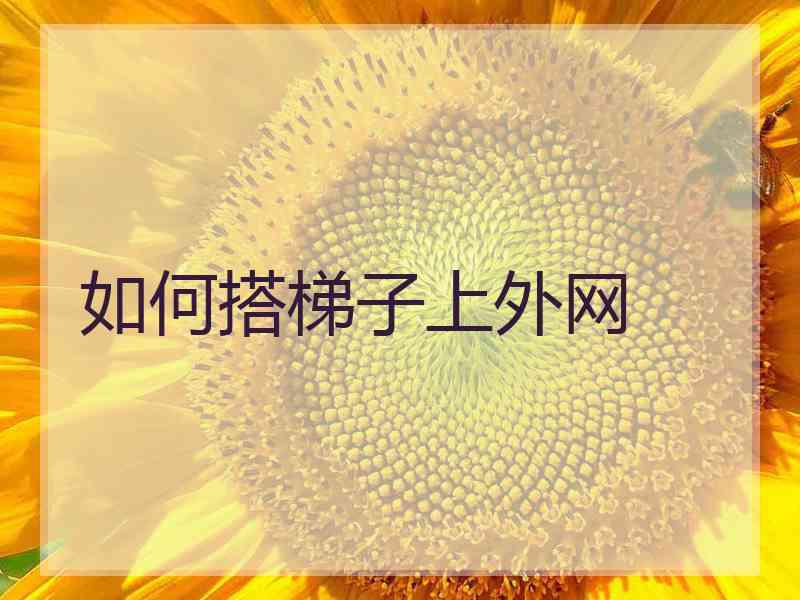 如何搭梯子上外网