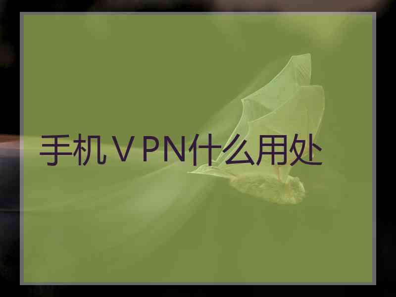 手机ⅤPN什么用处