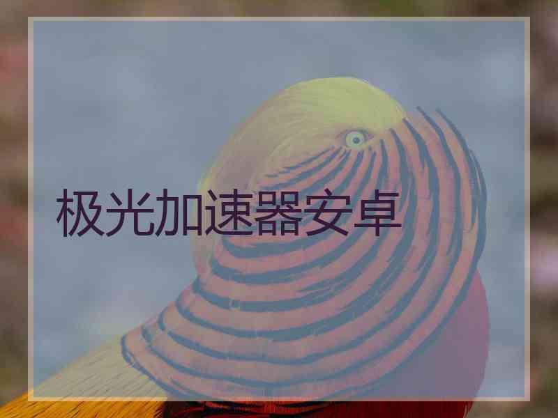 极光加速器安卓